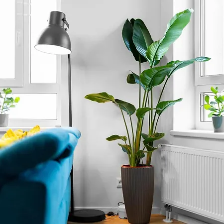 Panorama Luxe Terrace *