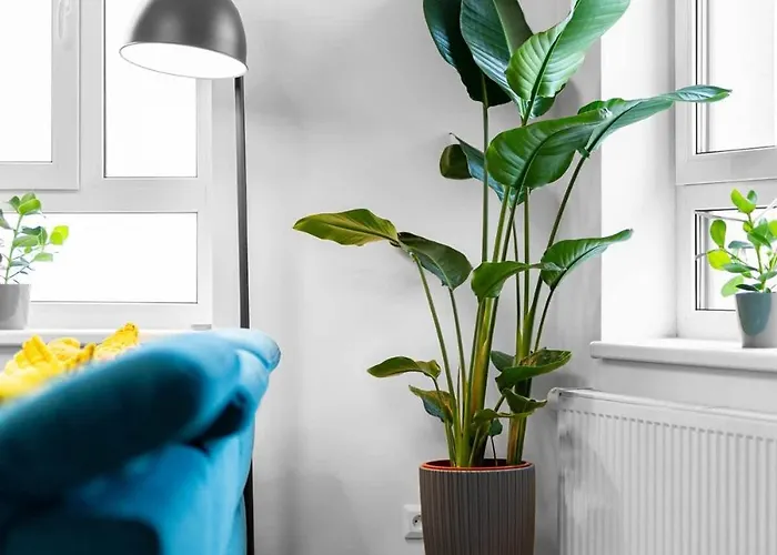 Panorama Luxe Terrace *